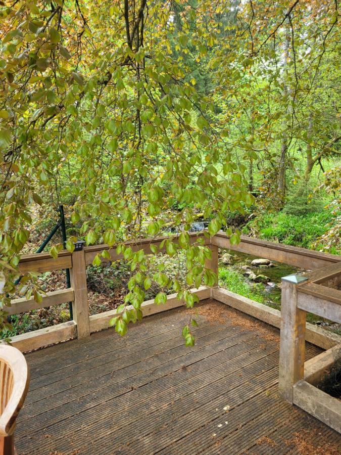 Eulennest oberes Okertal Lejlighed Altenau  Eksteriør billede